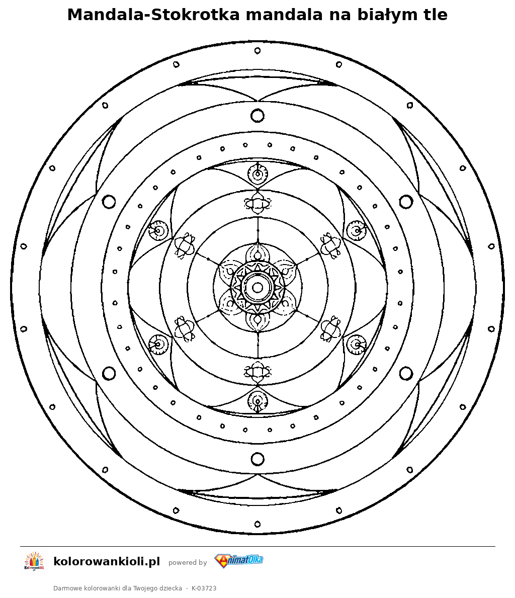 Kolorowanka — Mandala-Stokrotka mandala na białym tle