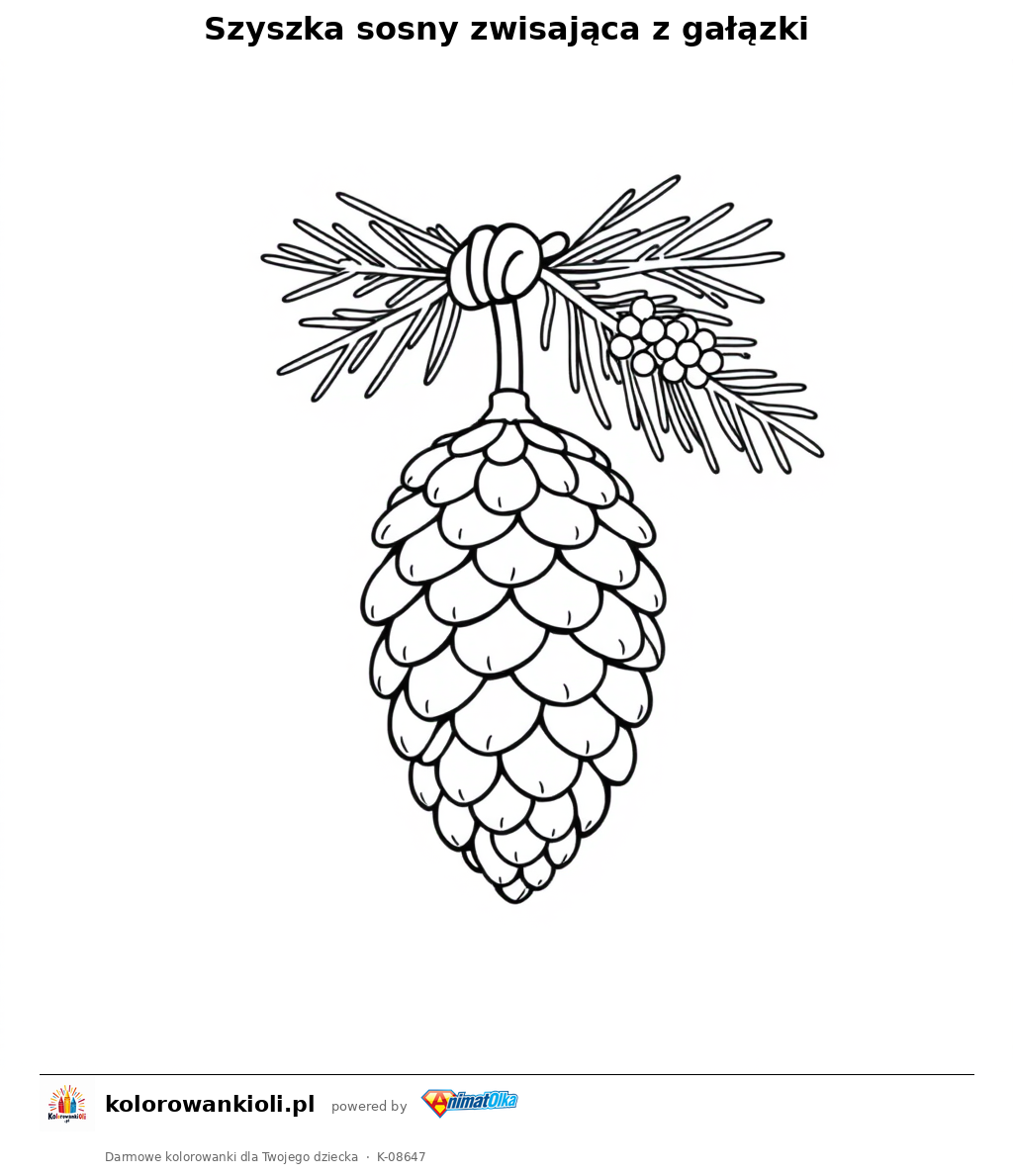 Szyszka sosny zwisająca z gałązki — kolorowanka do wydruku dla dzieci