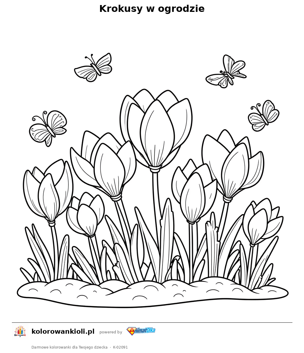 Kolorowanka — Krokusy w ogrodzie