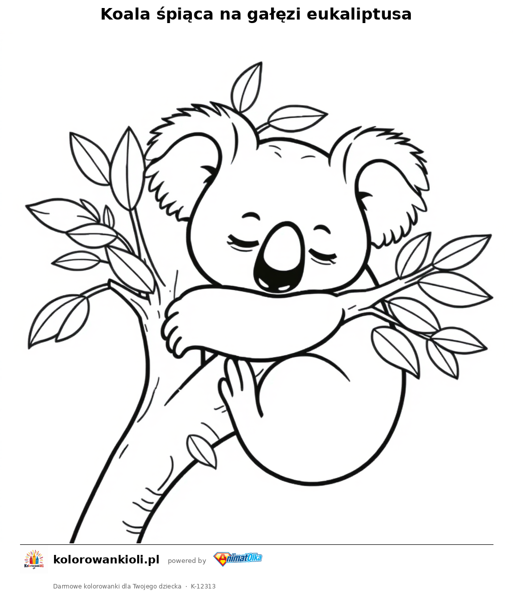 Koala śpiąca na gałęzi eukaliptusa — kolorowanka do wydruku dla dzieci