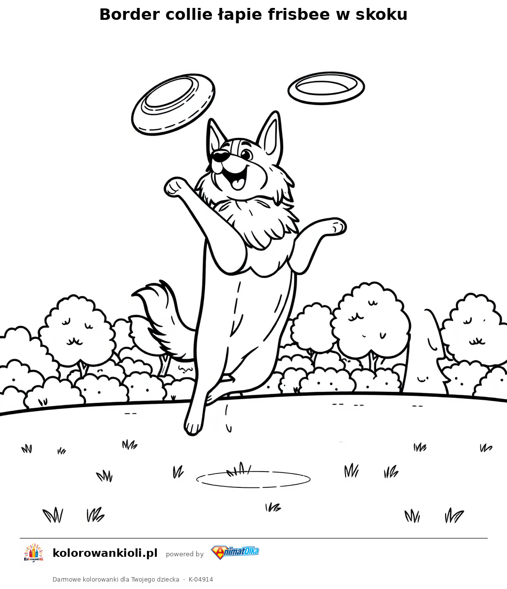 Border collie łapie frisbee w skoku — kolorowanka do wydruku dla dzieci