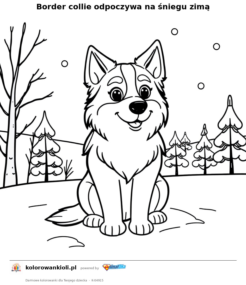 Border collie odpoczywa na śniegu zimą — kolorowanka do wydruku dla dzieci