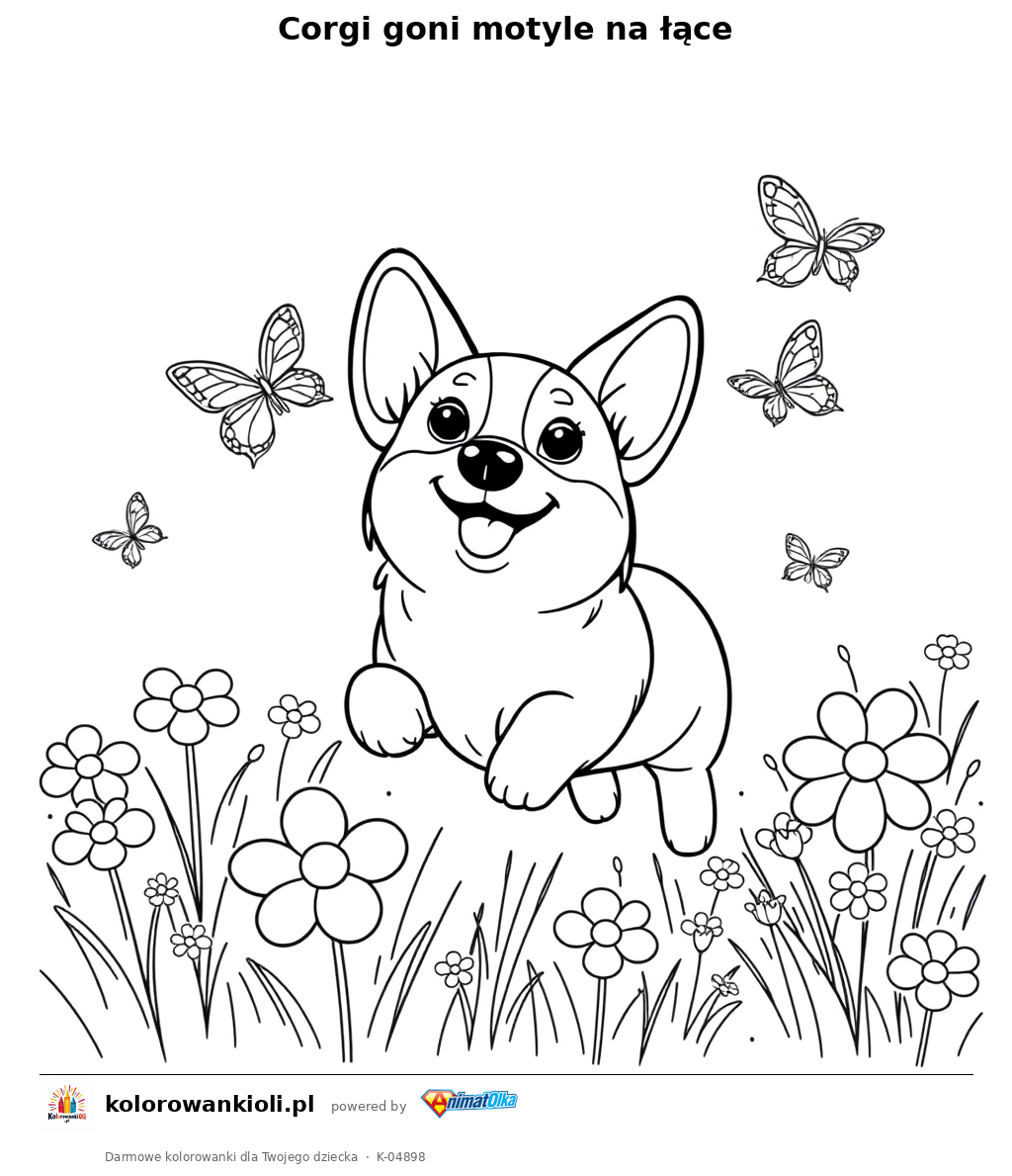 Corgi goni motyle na łące — kolorowanka do wydruku dla dzieci