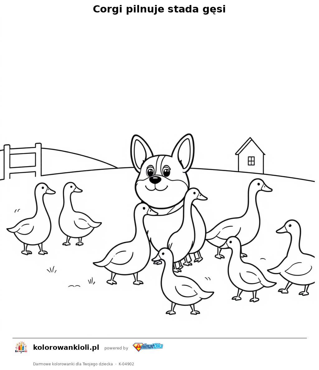 Corgi pilnuje stada gęsi — kolorowanka do wydruku dla dzieci