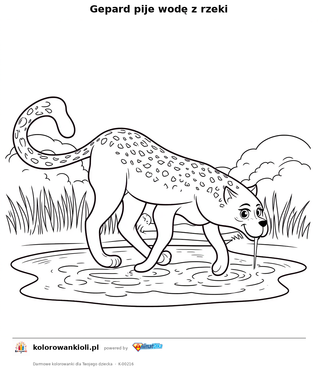 Kolorowanka — Gepard pije wodę z rzeki