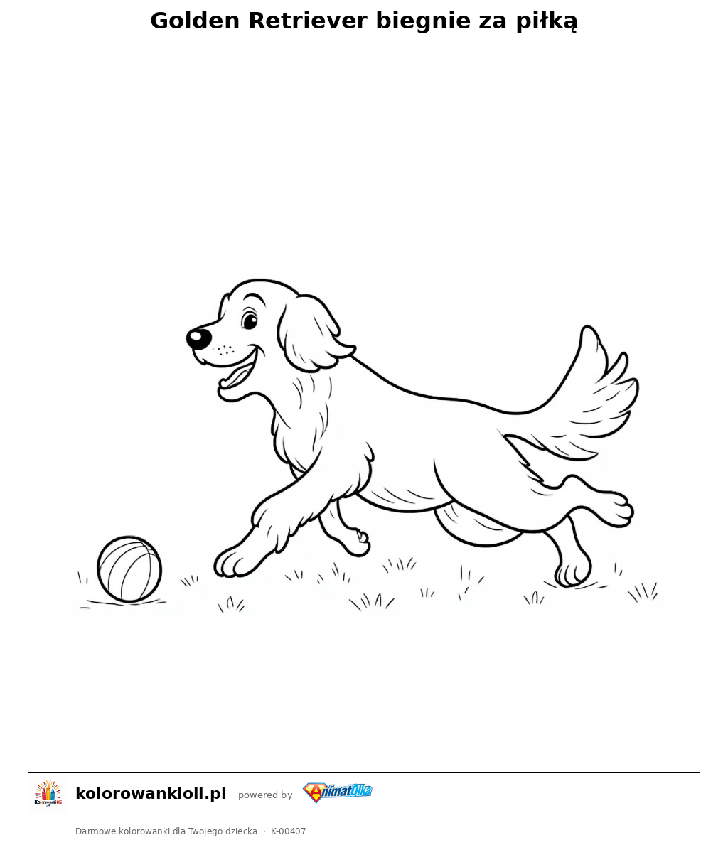 Kolorowanka — Golden Retriever biegnie za piłką