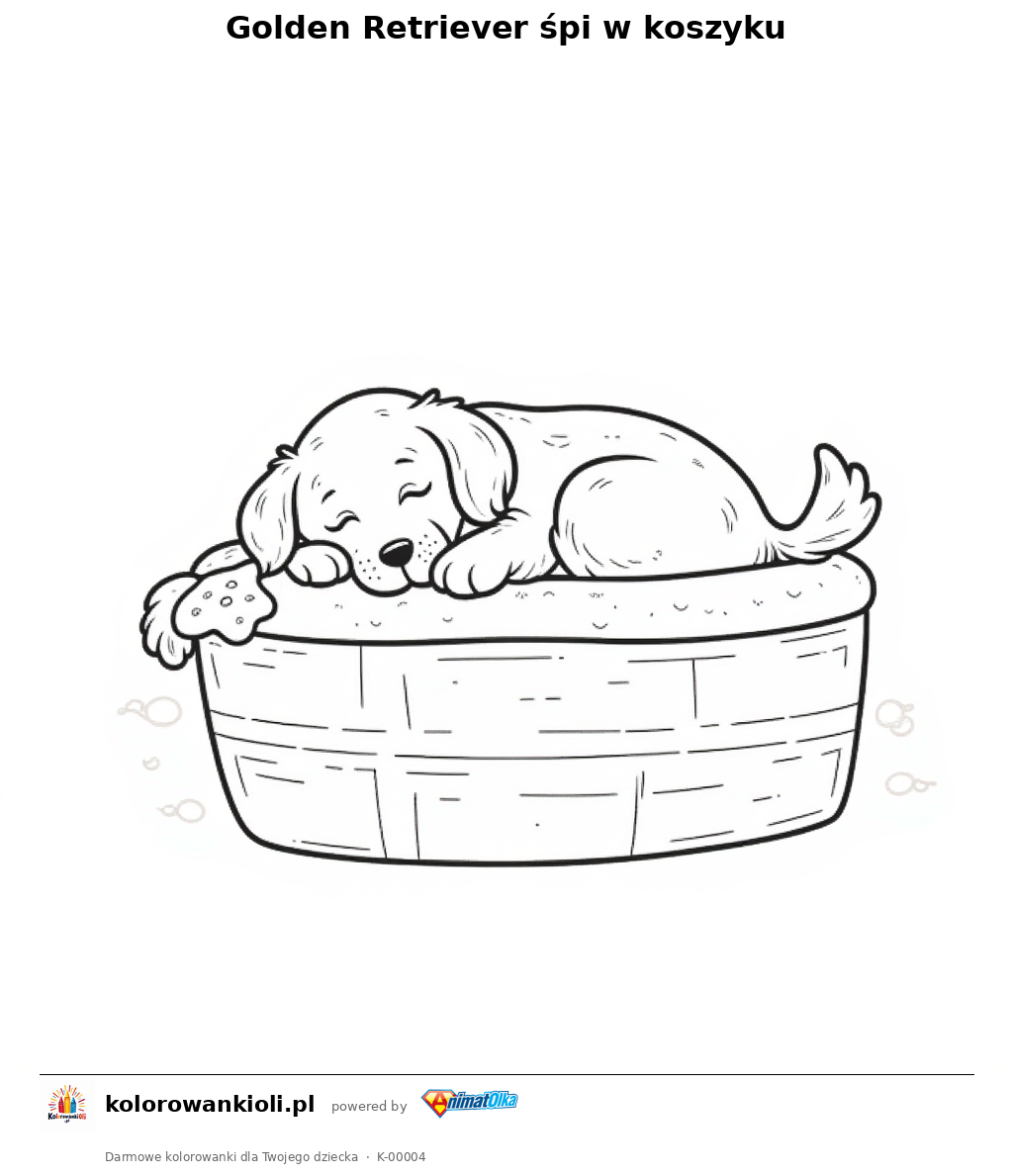 Kolorowanka — Golden Retriever śpi w koszyku