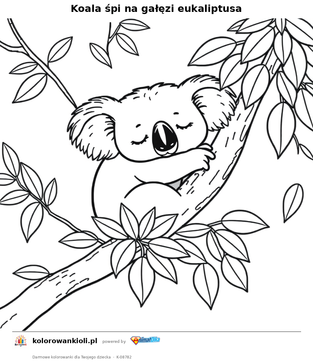 Koala śpi na gałęzi eukaliptusa — kolorowanka do wydruku dla dzieci