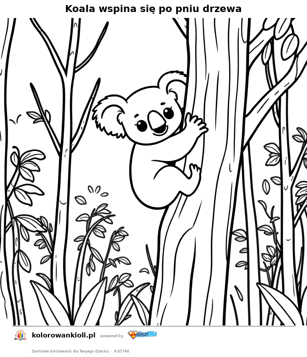 Koala wspina się po pniu drzewa — kolorowanka do wydruku dla dzieci