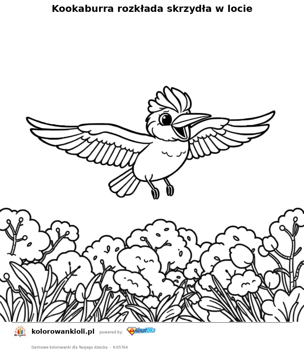 Kookaburra rozkłada skrzydła w locie — kolorowanka do wydruku dla dzieci