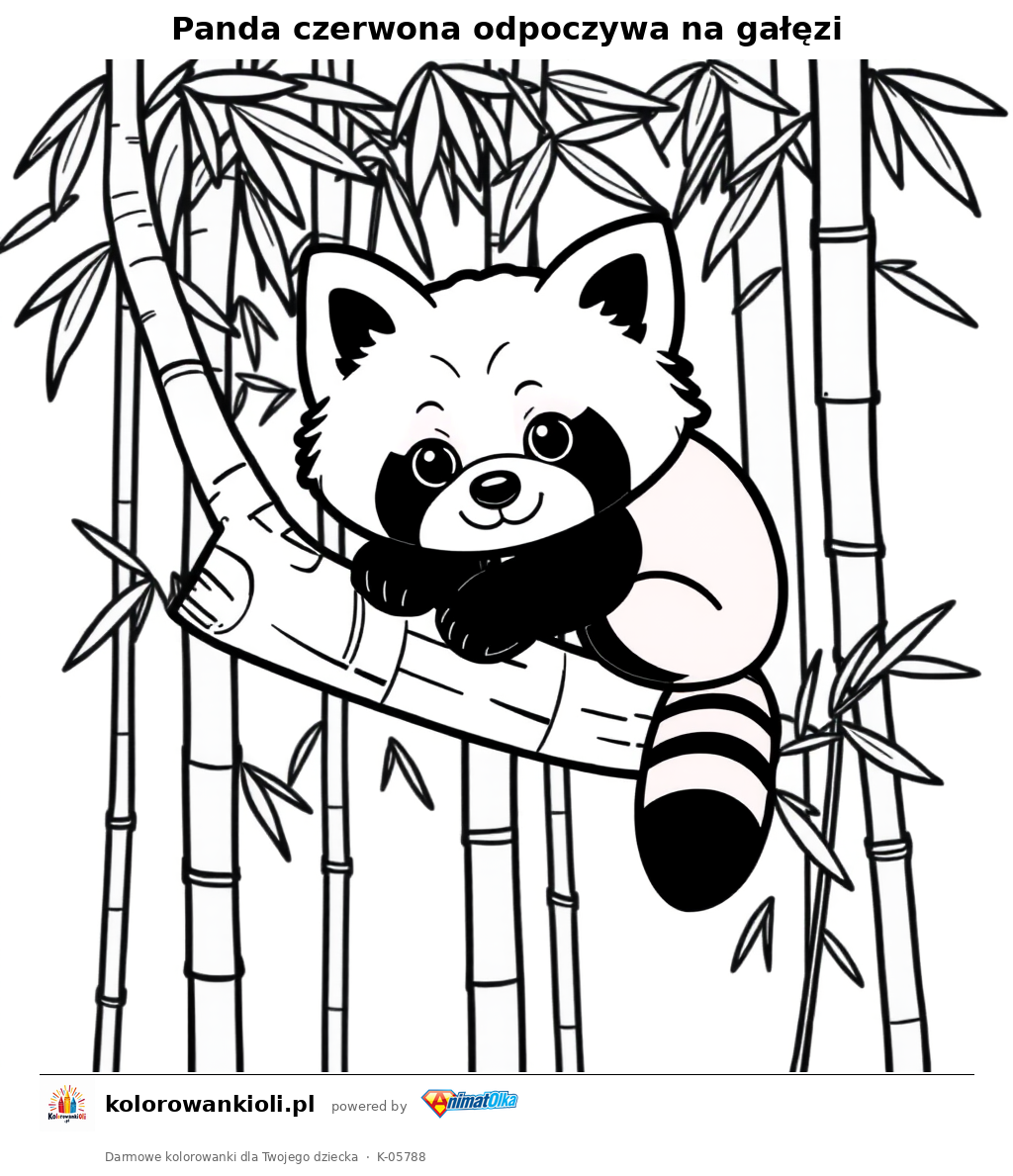 Panda czerwona odpoczywa na gałęzi — kolorowanka do wydruku dla dzieci