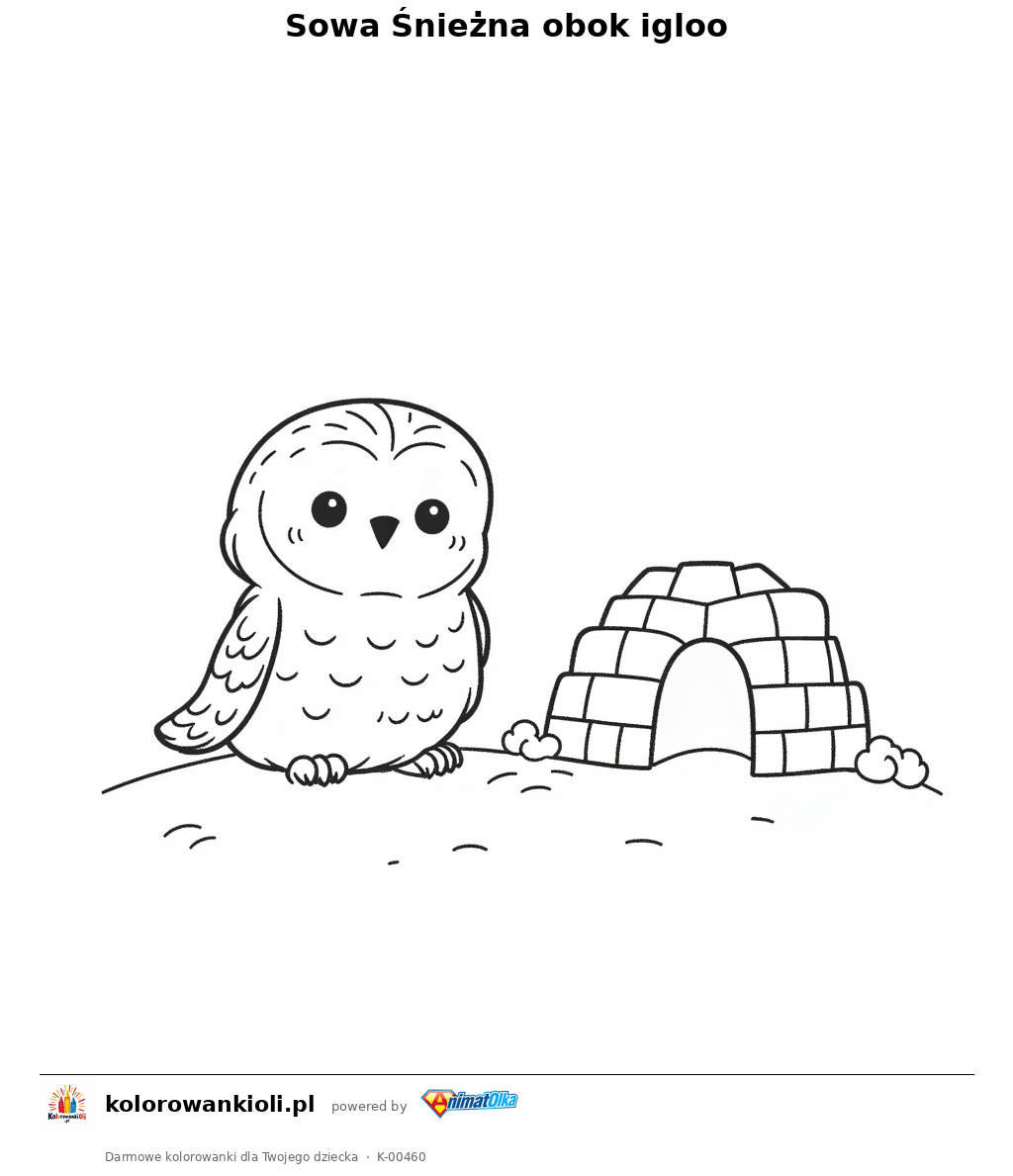 Kolorowanka — Sowa Śnieżna obok igloo