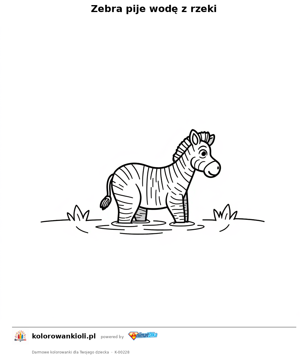 Kolorowanka — Zebra pije wodę z rzeki