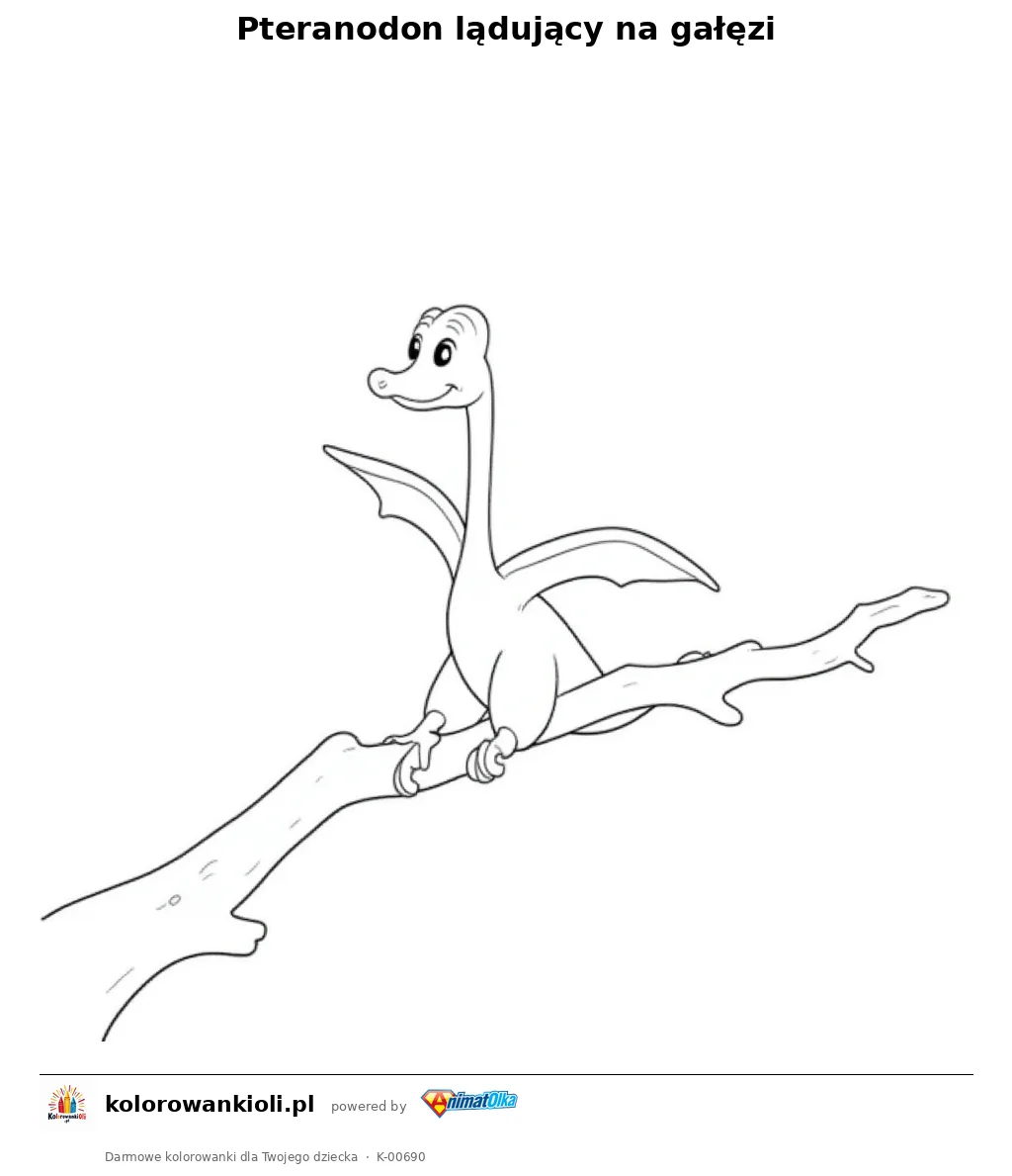 Pteranodon lądujący na gałęzi — kolorowanka do wydruku dla dzieci