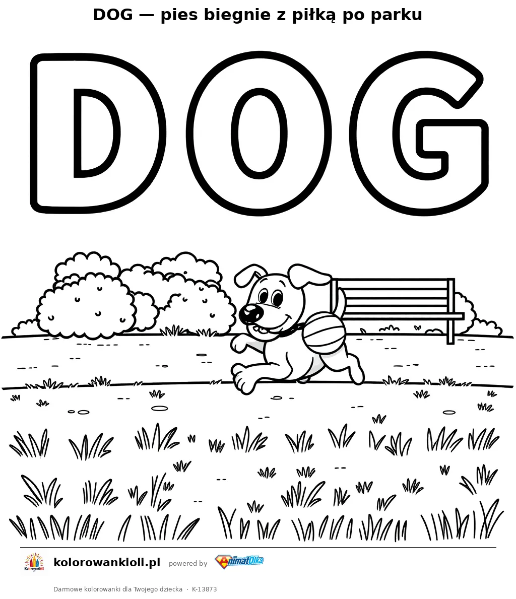 DOG — pies biegnie z piłką po parku — kolorowanka do wydruku dla dzieci