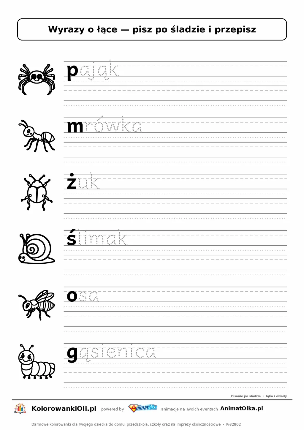 Wyrazy po śladzie małymi literami o łące: pająk, mrówka, żuk — karta do druku z obrazkami