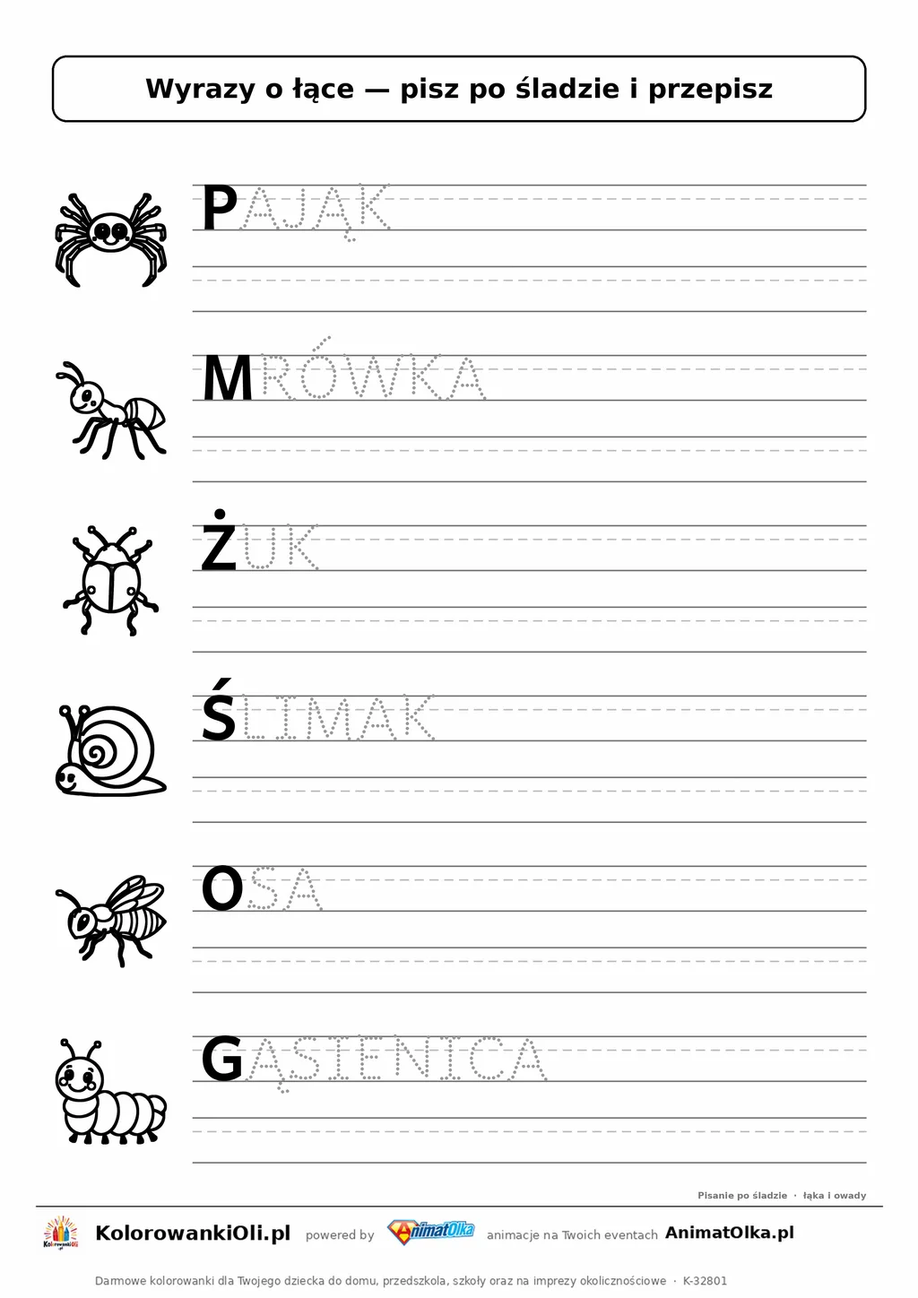 Wyrazy po śladzie wielkimi literami o łące: PAJĄK, MRÓWKA, ŻUK — karta do druku z obrazkami