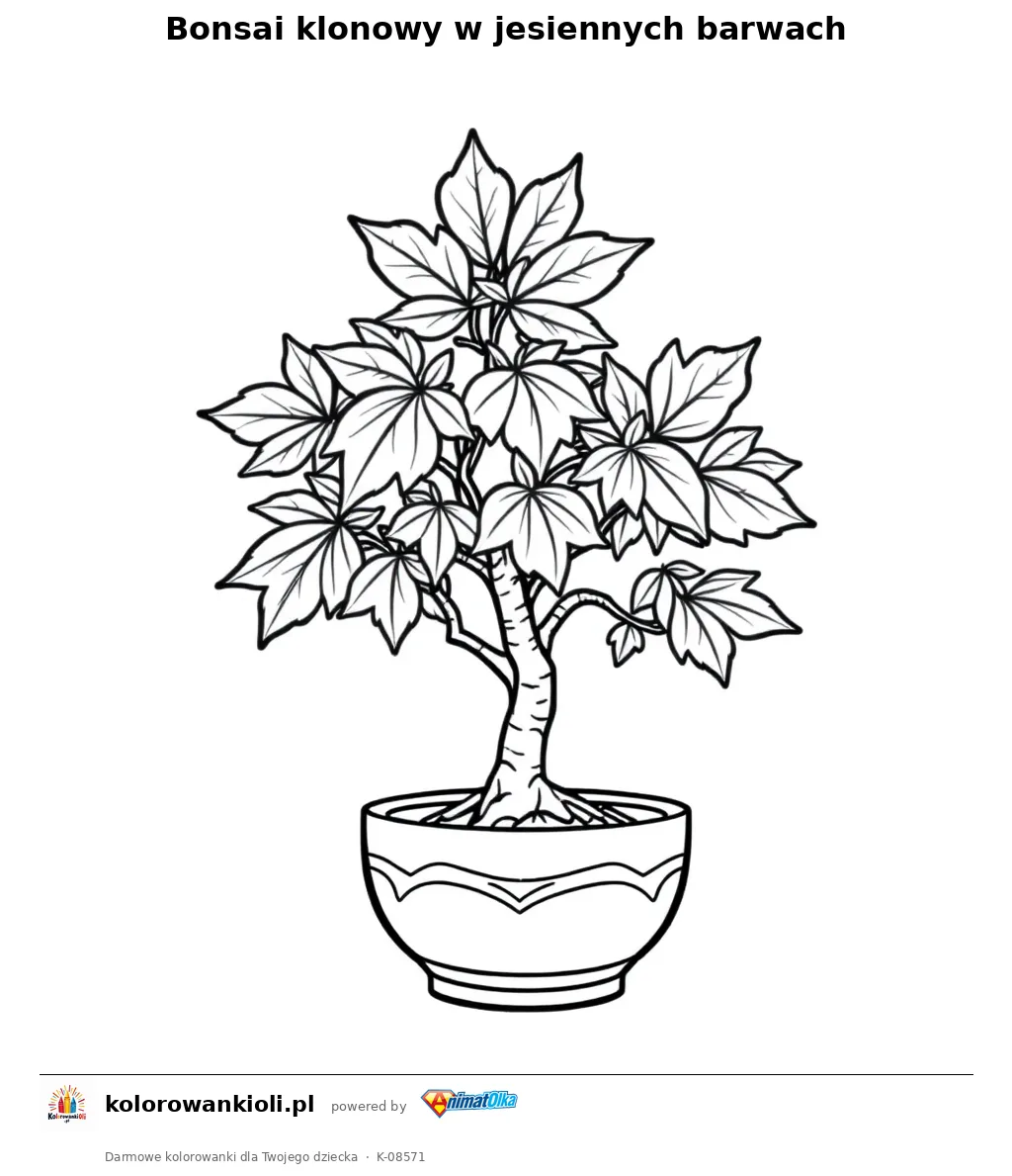 Bonsai klonowy w jesiennych barwach — kolorowanka do wydruku dla dzieci