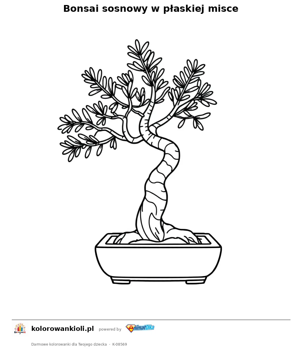 Bonsai sosnowy w płaskiej misce — kolorowanka do wydruku dla dzieci