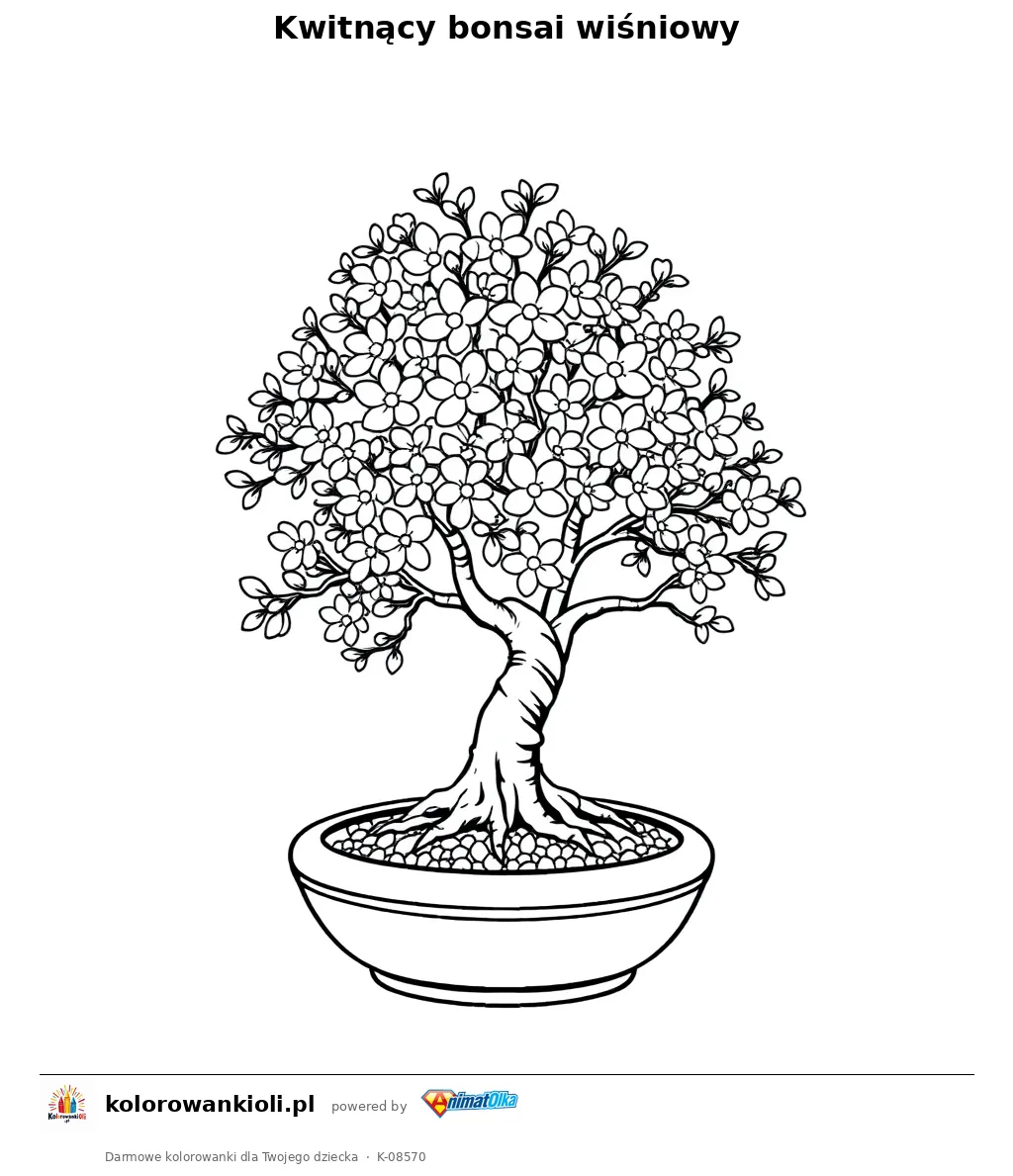 Kwitnący bonsai wiśniowy — kolorowanka do wydruku dla dzieci