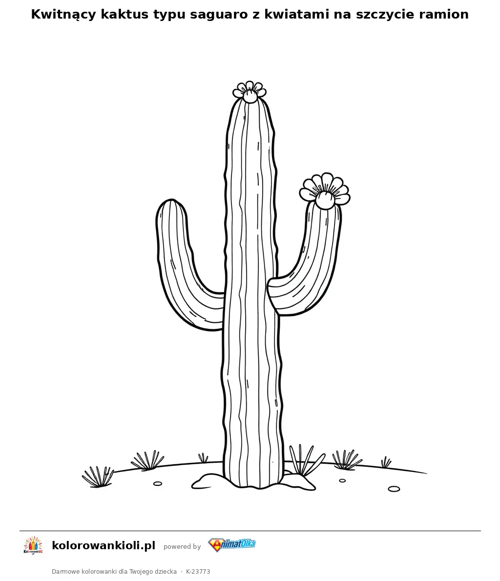 Kwitnący kaktus typu saguaro z kwiatami na szczycie ramion — kolorowanka do wydruku dla dzieci