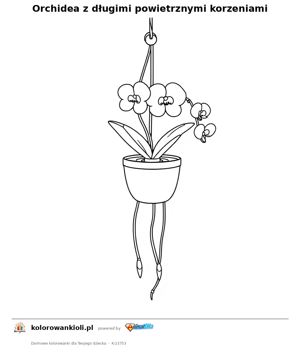 Orchidea z długimi powietrznymi korzeniami — kolorowanka do wydruku dla dzieci