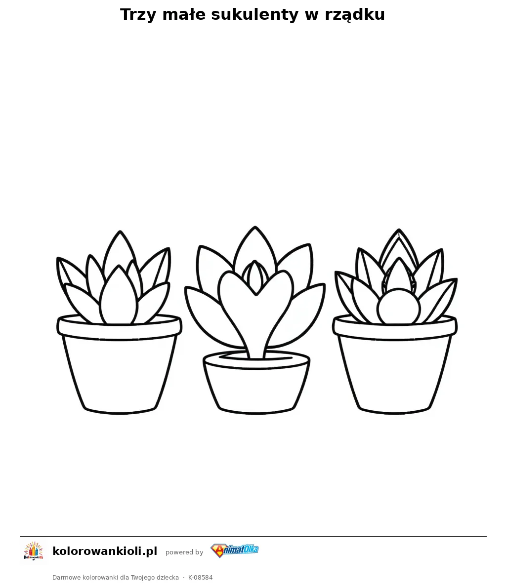 Trzy małe sukulenty w rządku — kolorowanka do wydruku dla dzieci