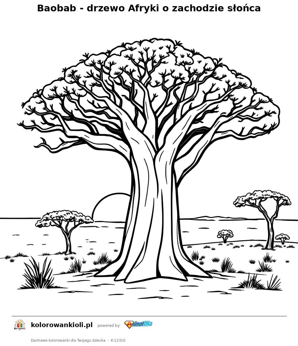 Baobab - drzewo Afryki o zachodzie słońca — kolorowanka do wydruku dla dzieci