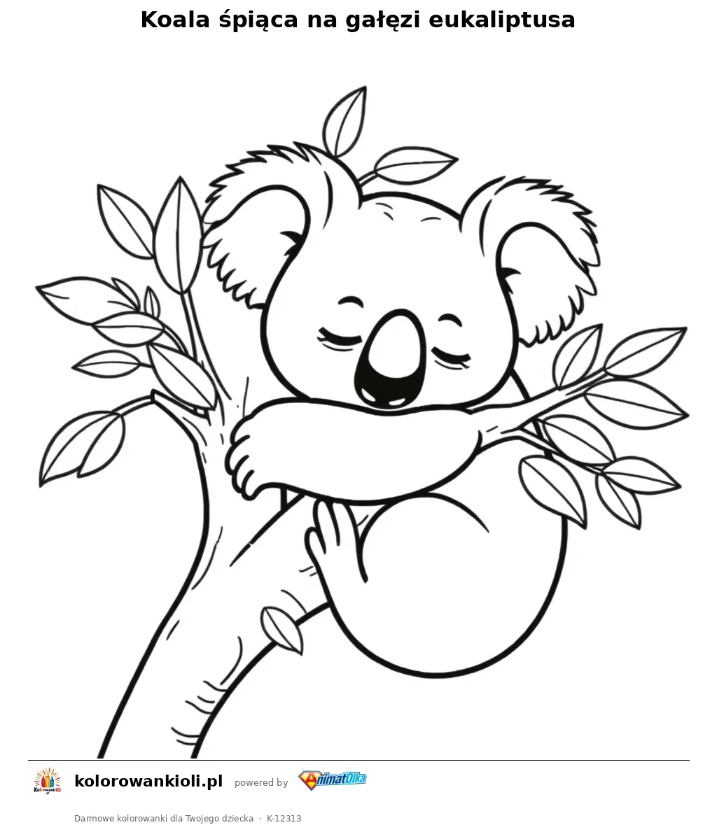 Koala śpiąca na gałęzi eukaliptusa — kolorowanka do wydruku dla dzieci