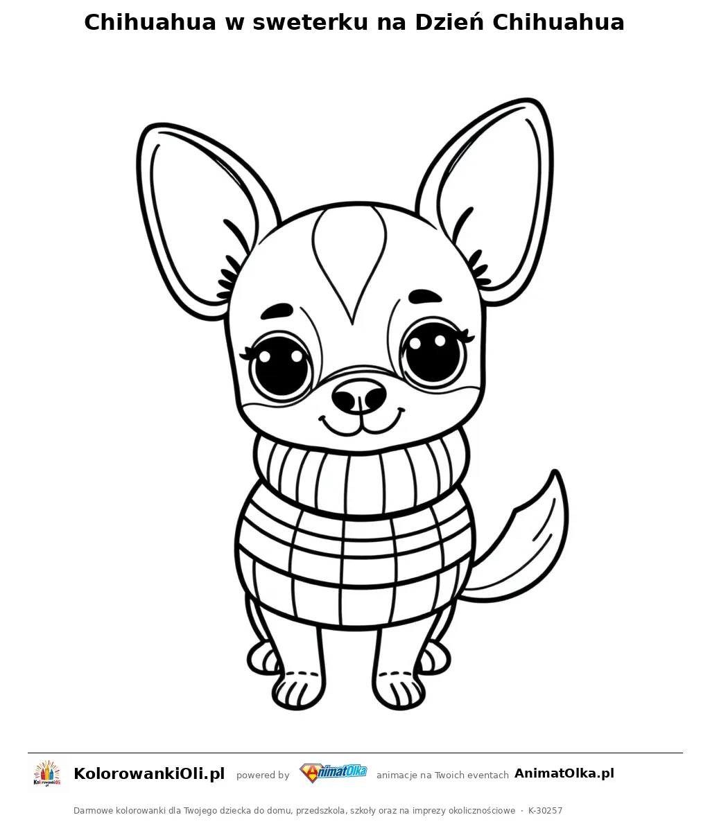 Chihuahua w sweterku na Dzień Chihuahua — kolorowanka na Dzień Chihuahua do wydruku