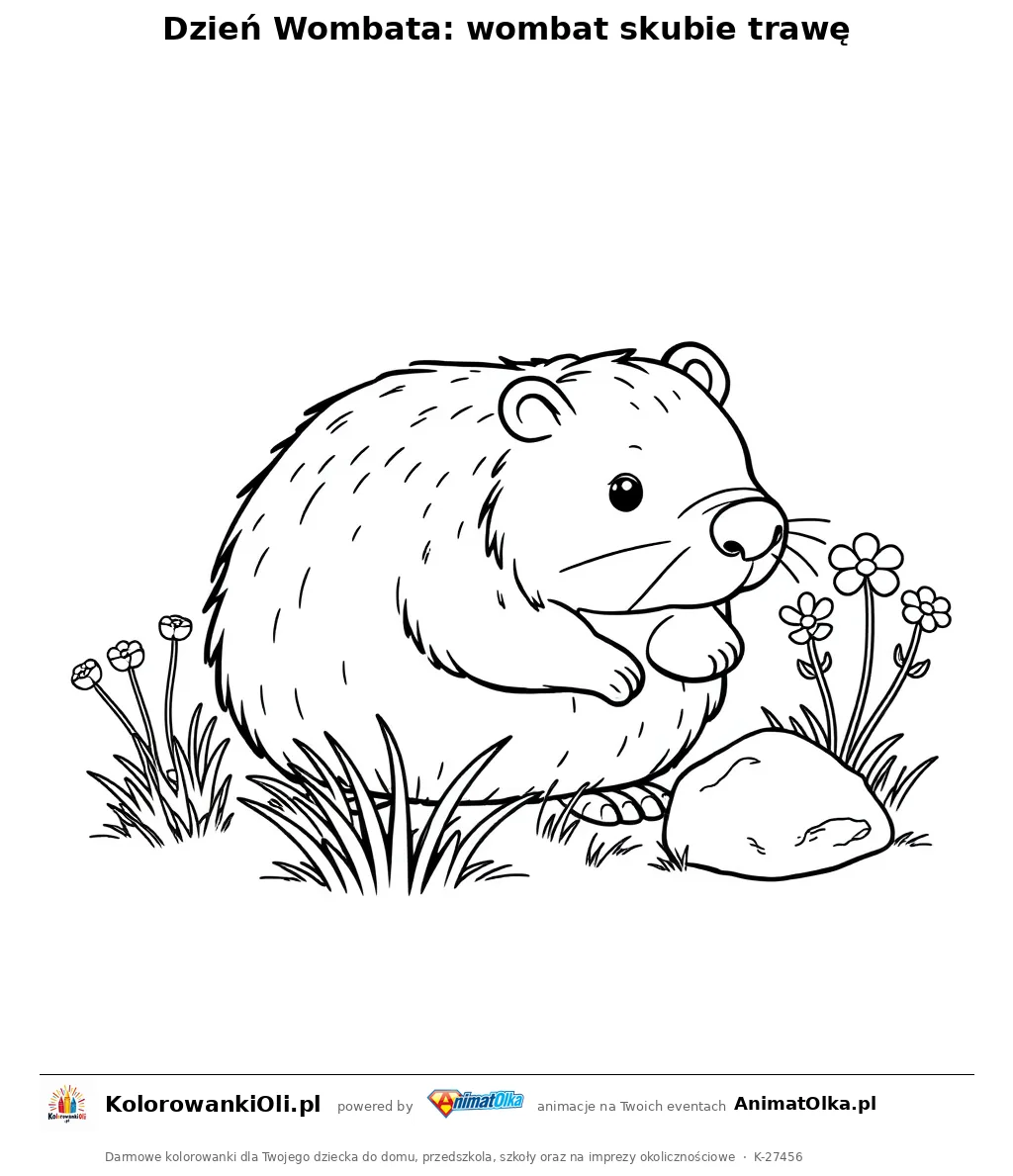 Dzień Wombata: wombat skubie trawę — kolorowanka na Dzień Wombata do wydruku