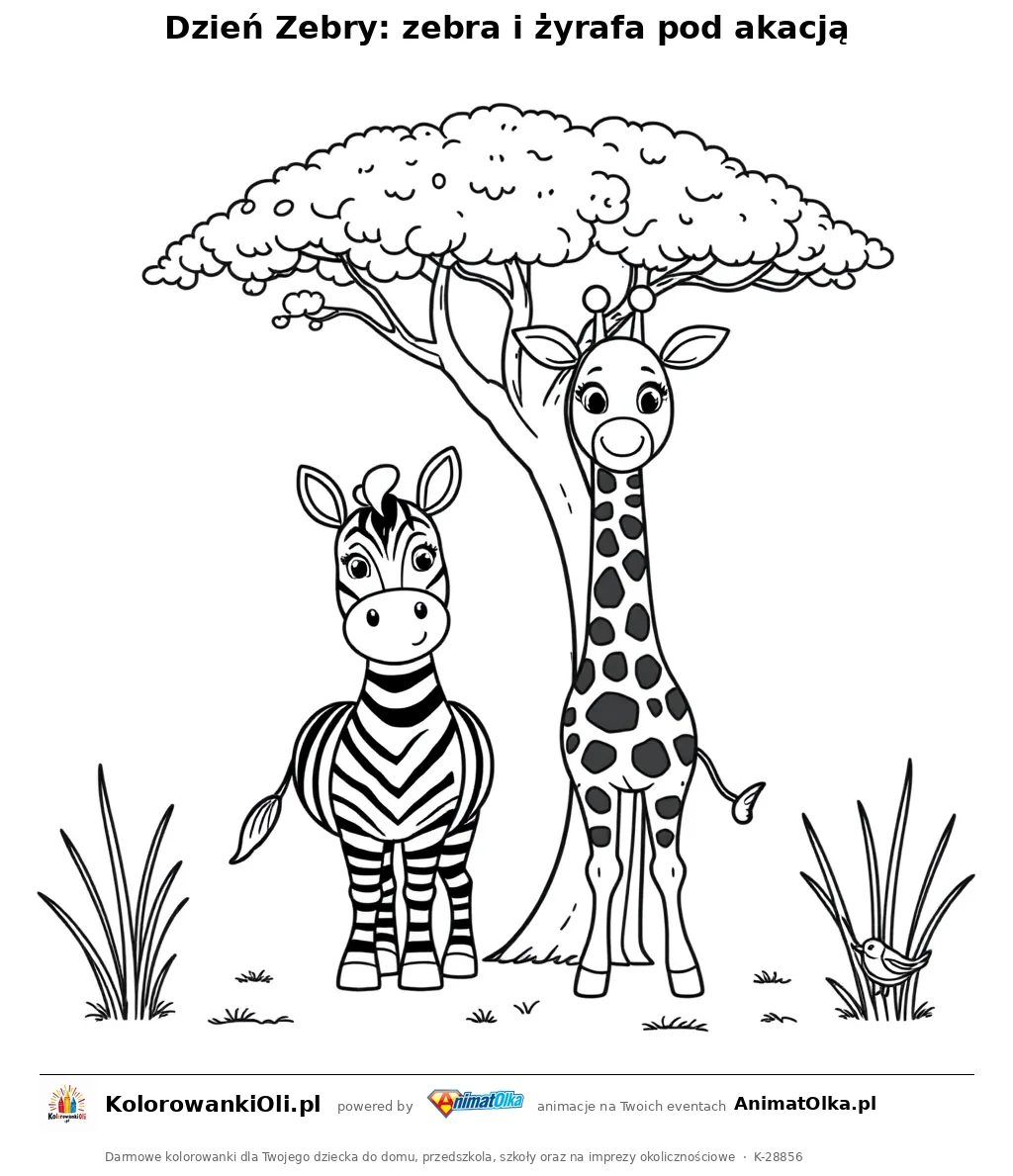 Dzień Zebry: zebra i żyrafa pod akacją — kolorowanka na Dzień Zebry do wydruku