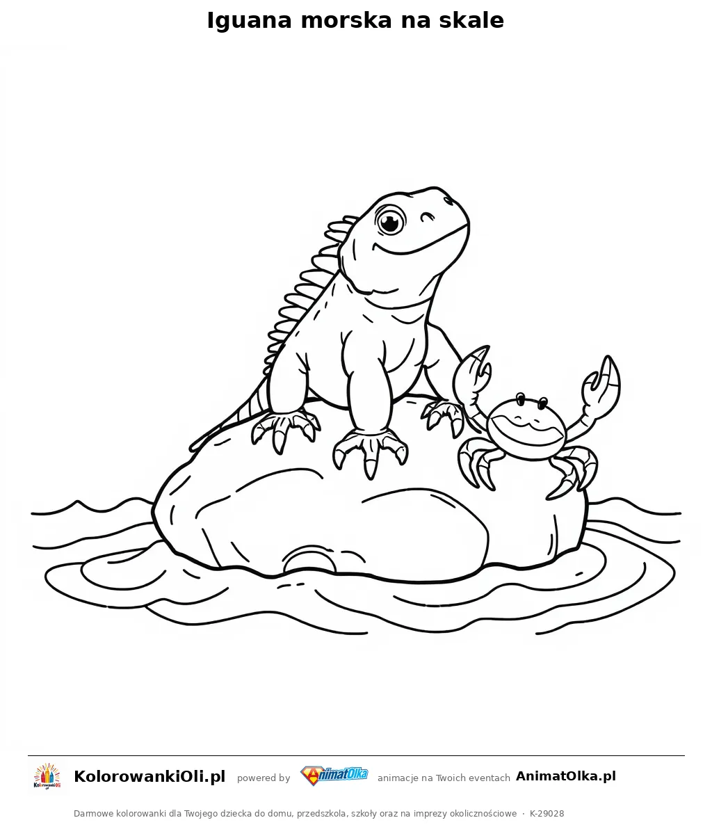 Iguana morska na skale — kolorowanka na Dzień Darwina do wydruku
