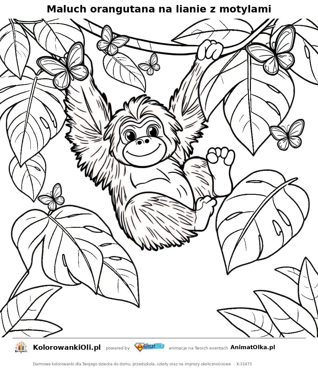 Maluch orangutana na lianie z motylami — kolorowanka na Dzień Orangutana do wydruku