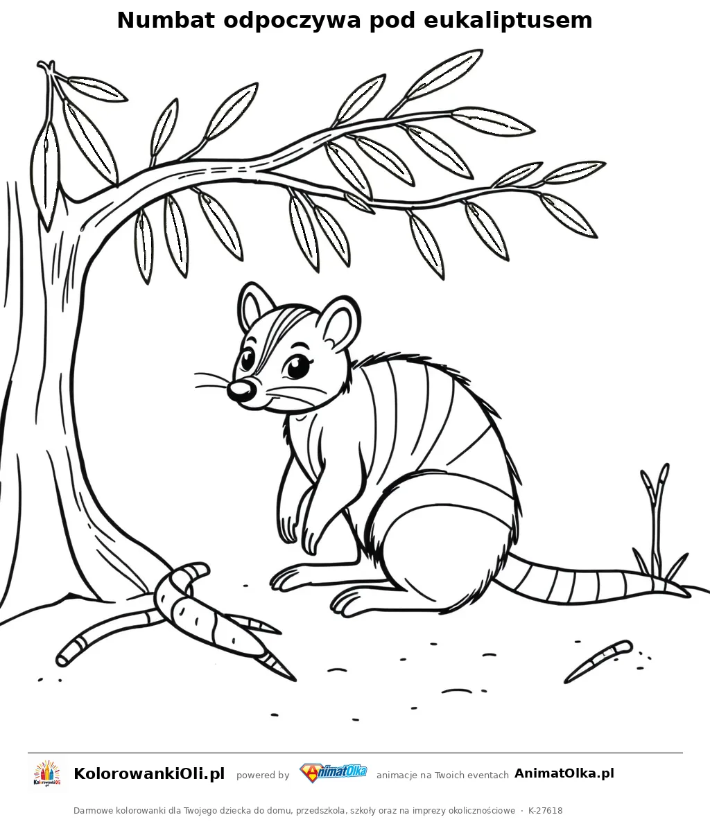 Numbat odpoczywa pod eukaliptusem — kolorowanka na Dzień Numbata do wydruku