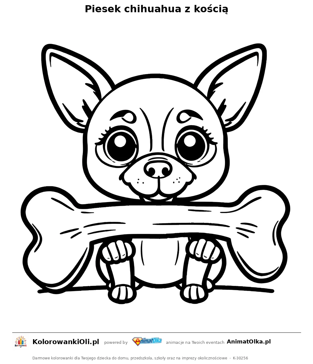Piesek chihuahua z kością — kolorowanka na Dzień Chihuahua do wydruku