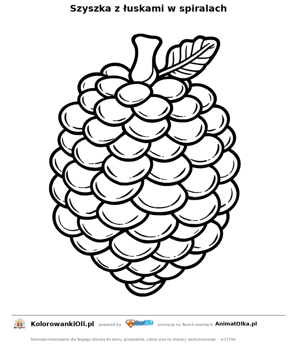 Szyszka z łuskami w spiralach — kolorowanka na Dzień Fibonacciego do wydruku