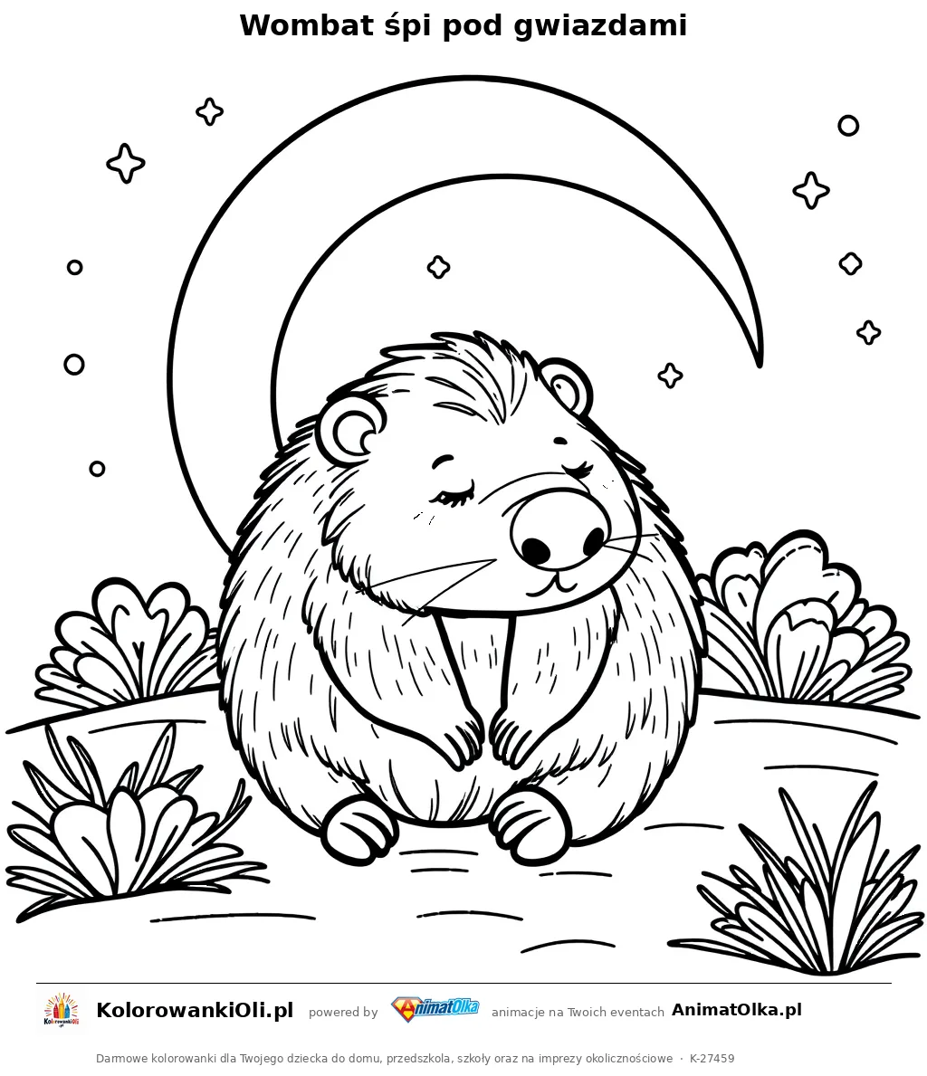 Wombat śpi pod gwiazdami — kolorowanka na Dzień Wombata do wydruku