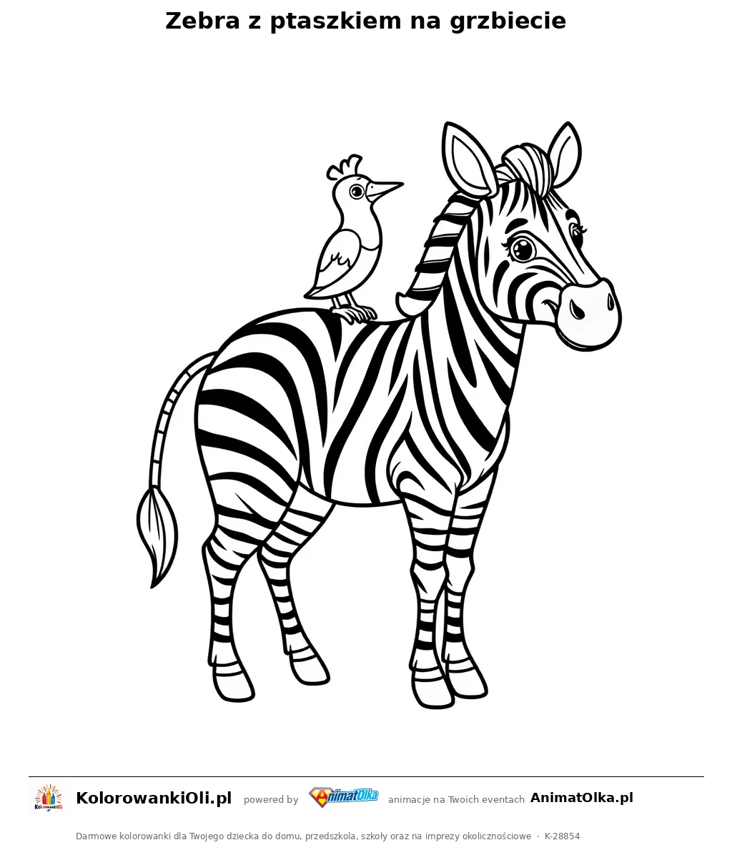 Zebra z ptaszkiem na grzbiecie — kolorowanka na Dzień Zebry do wydruku