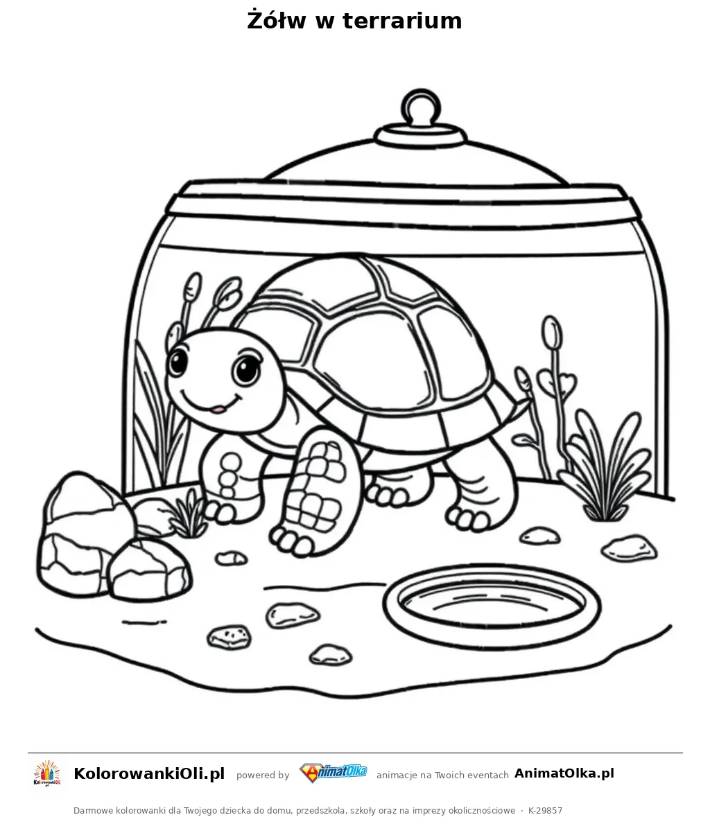 Żółw w terrarium — kolorowanka na Dzień Zwierząt Domowych do wydruku