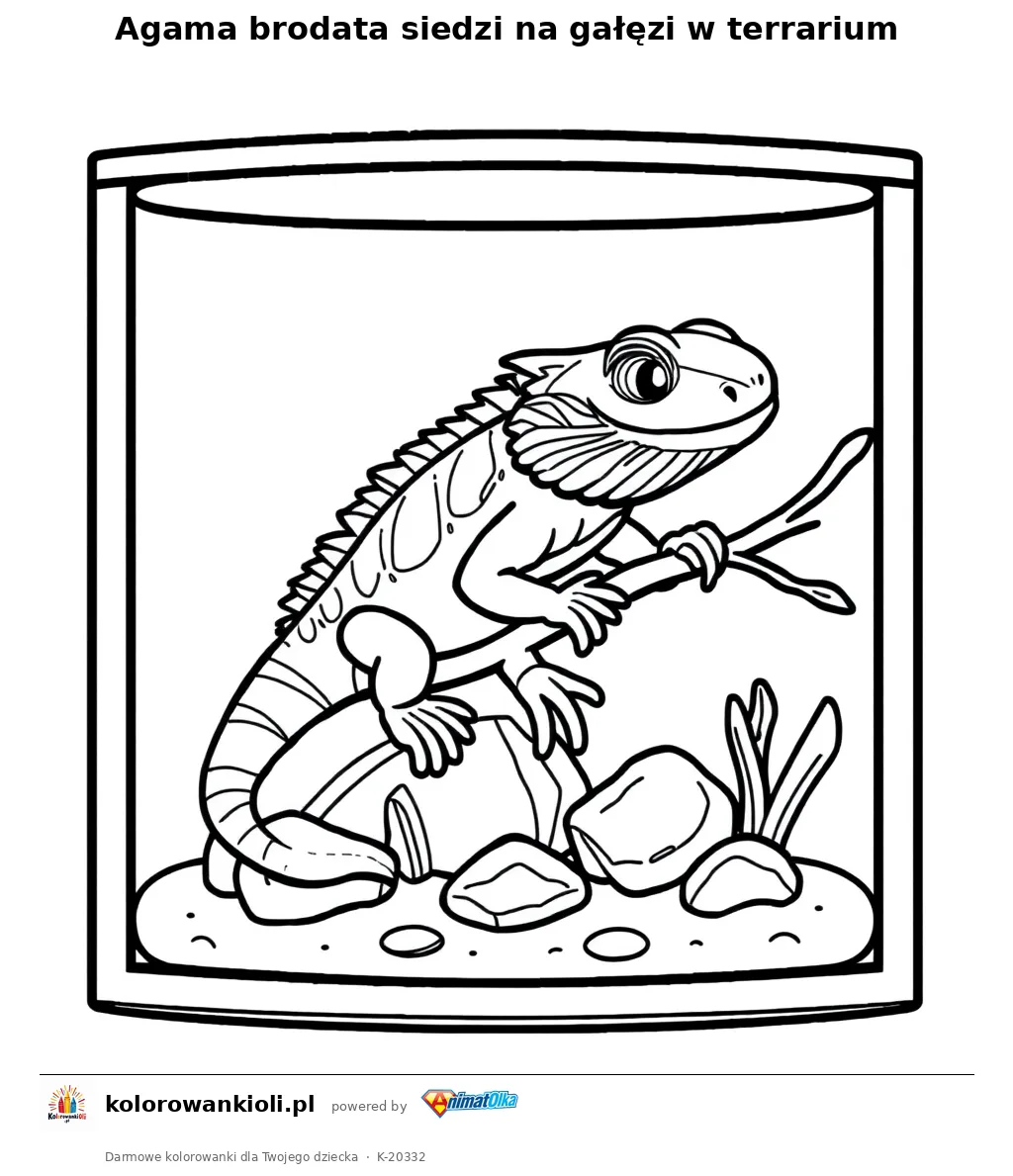 Agama brodata siedzi na gałęzi w terrarium — kolorowanka do wydruku dla dzieci
