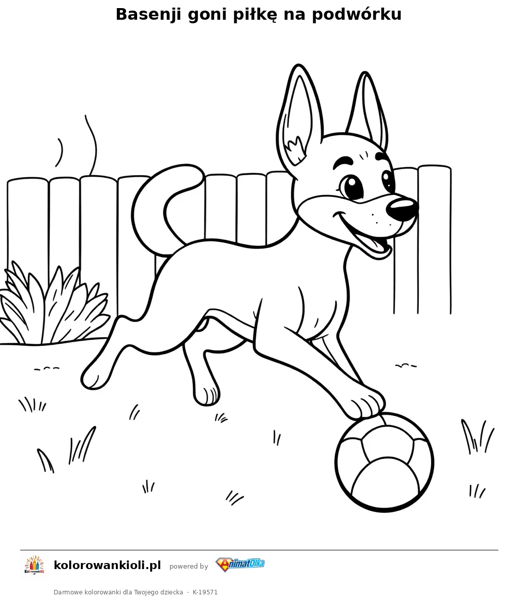 Basenji goni piłkę na podwórku — kolorowanka do wydruku dla dzieci