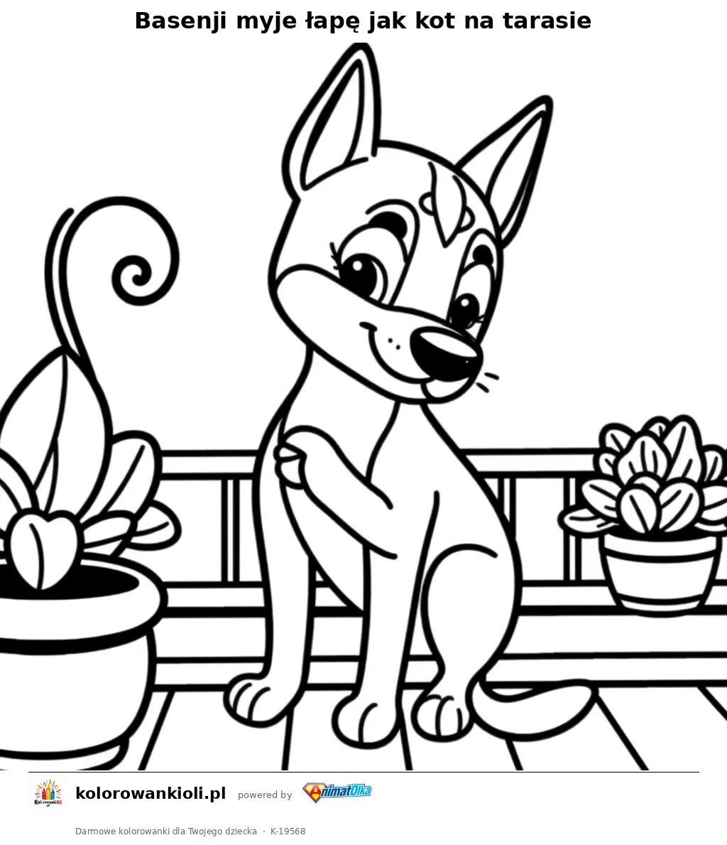 Basenji myje łapę jak kot na tarasie — kolorowanka do wydruku dla dzieci