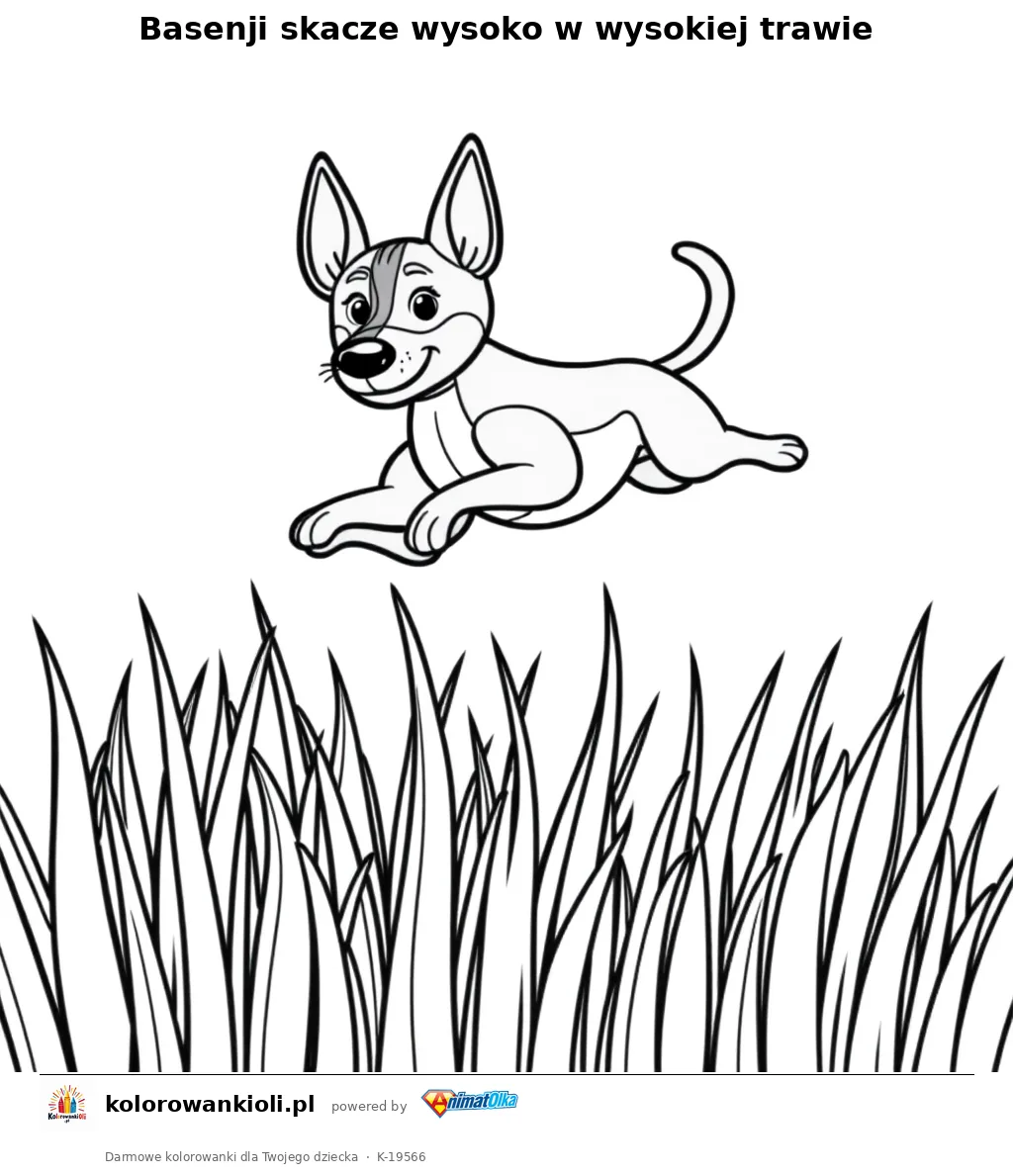 Basenji skacze wysoko w wysokiej trawie — kolorowanka do wydruku dla dzieci