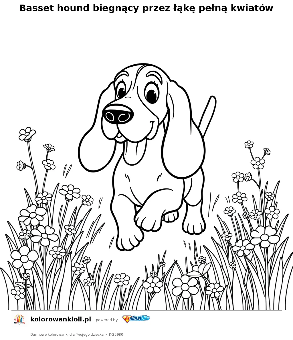 Basset hound biegnący przez łąkę pełną kwiatów — kolorowanka do wydruku dla dzieci
