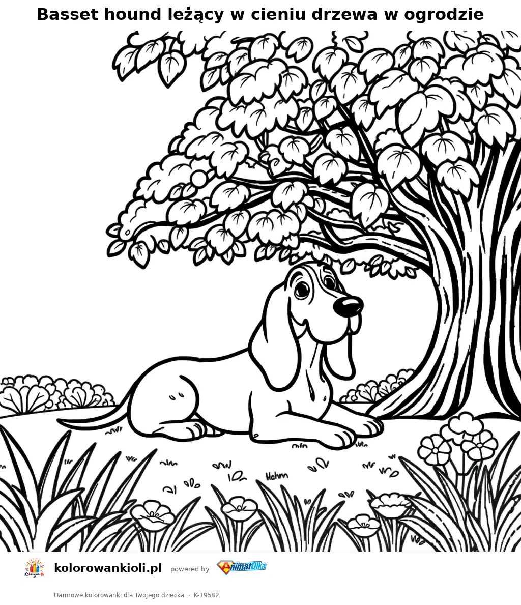 Basset hound leżący w cieniu drzewa w ogrodzie — kolorowanka do wydruku dla dzieci