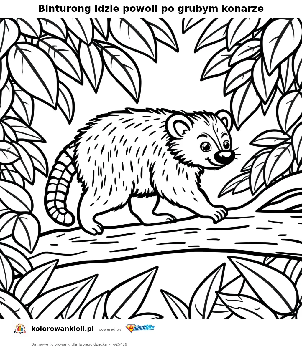 Binturong idzie powoli po grubym konarze — kolorowanka do wydruku dla dzieci