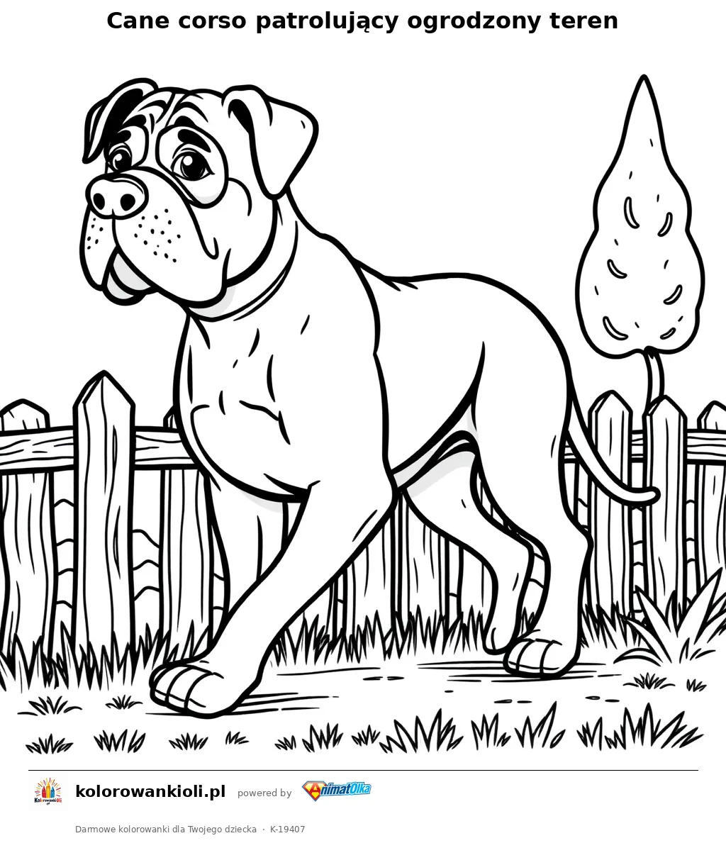 Cane corso patrolujący ogrodzony teren — kolorowanka do wydruku dla dzieci