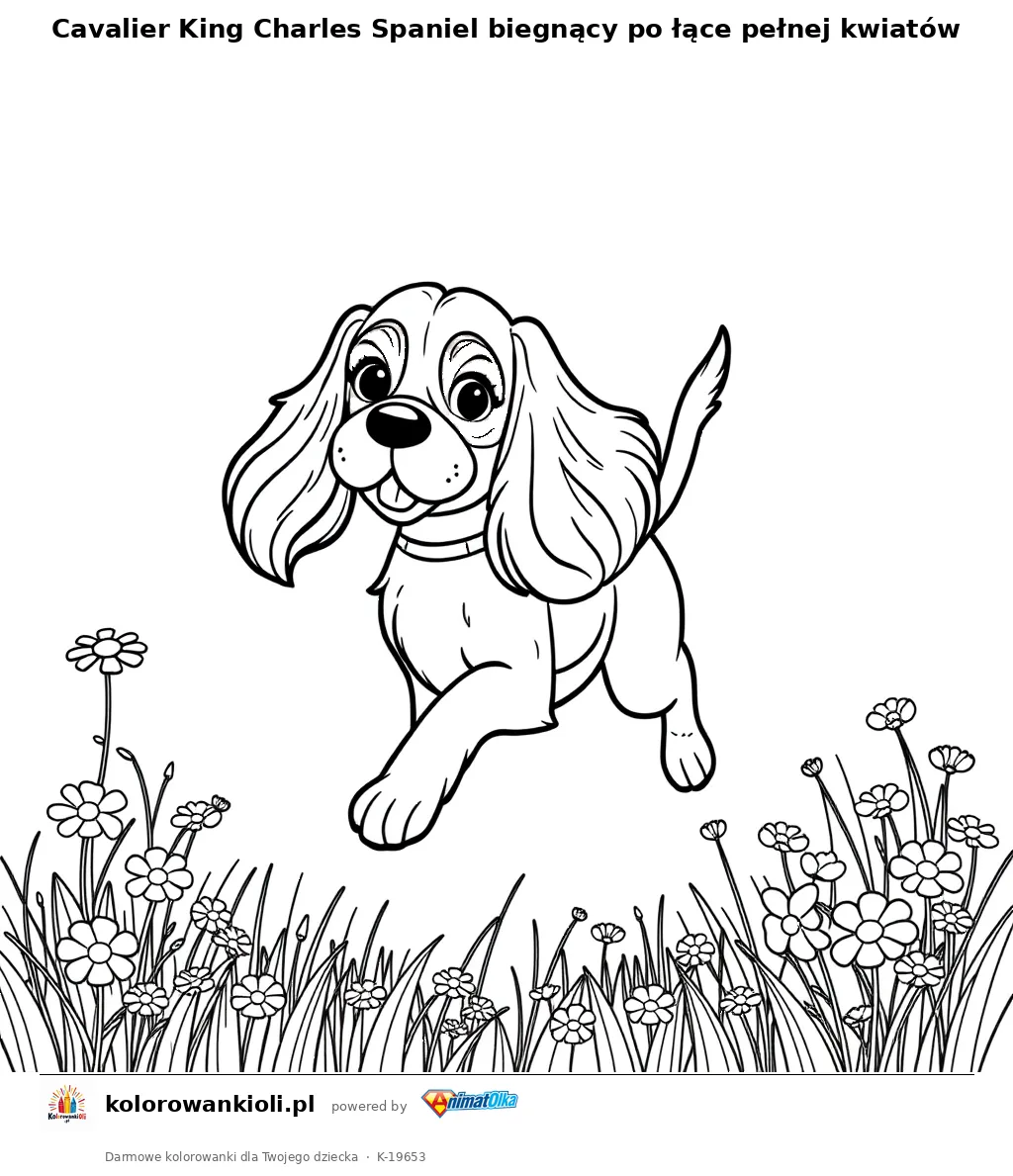 Cavalier King Charles Spaniel biegnący po łące pełnej kwiatów — kolorowanka do wydruku dla dzieci