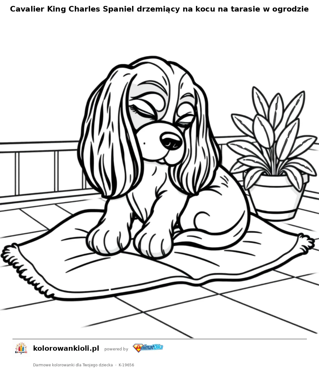 Cavalier King Charles Spaniel drzemiący na kocu na tarasie w ogrodzie — kolorowanka do wydruku dla dzieci